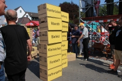 IMG_1561